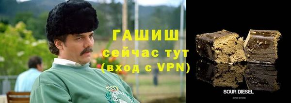 ГАЛЛЮЦИНОГЕННЫЕ ГРИБЫ Гусев