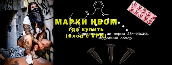 ГАЛЛЮЦИНОГЕННЫЕ ГРИБЫ Гусев