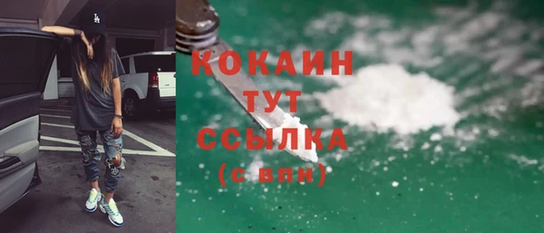 ГАЛЛЮЦИНОГЕННЫЕ ГРИБЫ Гусев