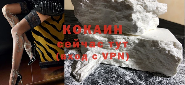 ГАЛЛЮЦИНОГЕННЫЕ ГРИБЫ Гусев