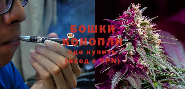 ГАЛЛЮЦИНОГЕННЫЕ ГРИБЫ Гусев