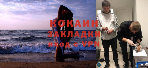 ГАЛЛЮЦИНОГЕННЫЕ ГРИБЫ Гусев