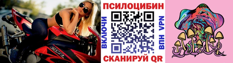 Купить закладки  Ковров  Псилоцибиновые грибы GOLDEN TEACHER 